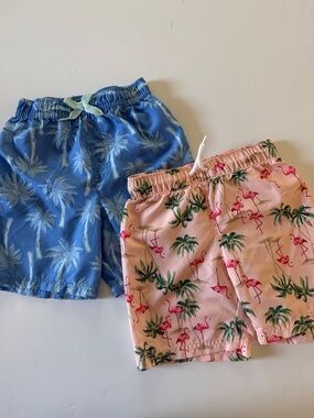 Palm Tree/Flamingo Swim Trunks Set